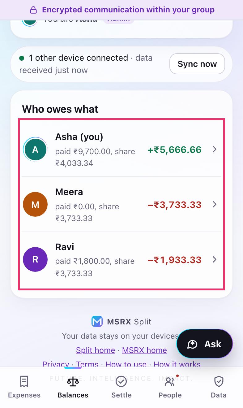 Each person with what they paid, their share and their balance