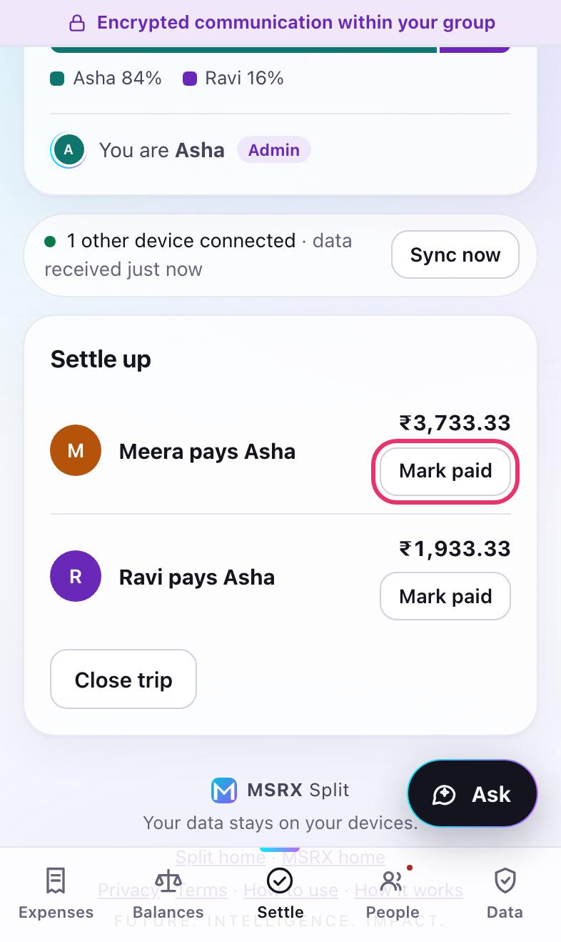 The Settle tab listing who pays whom, with Mark paid
