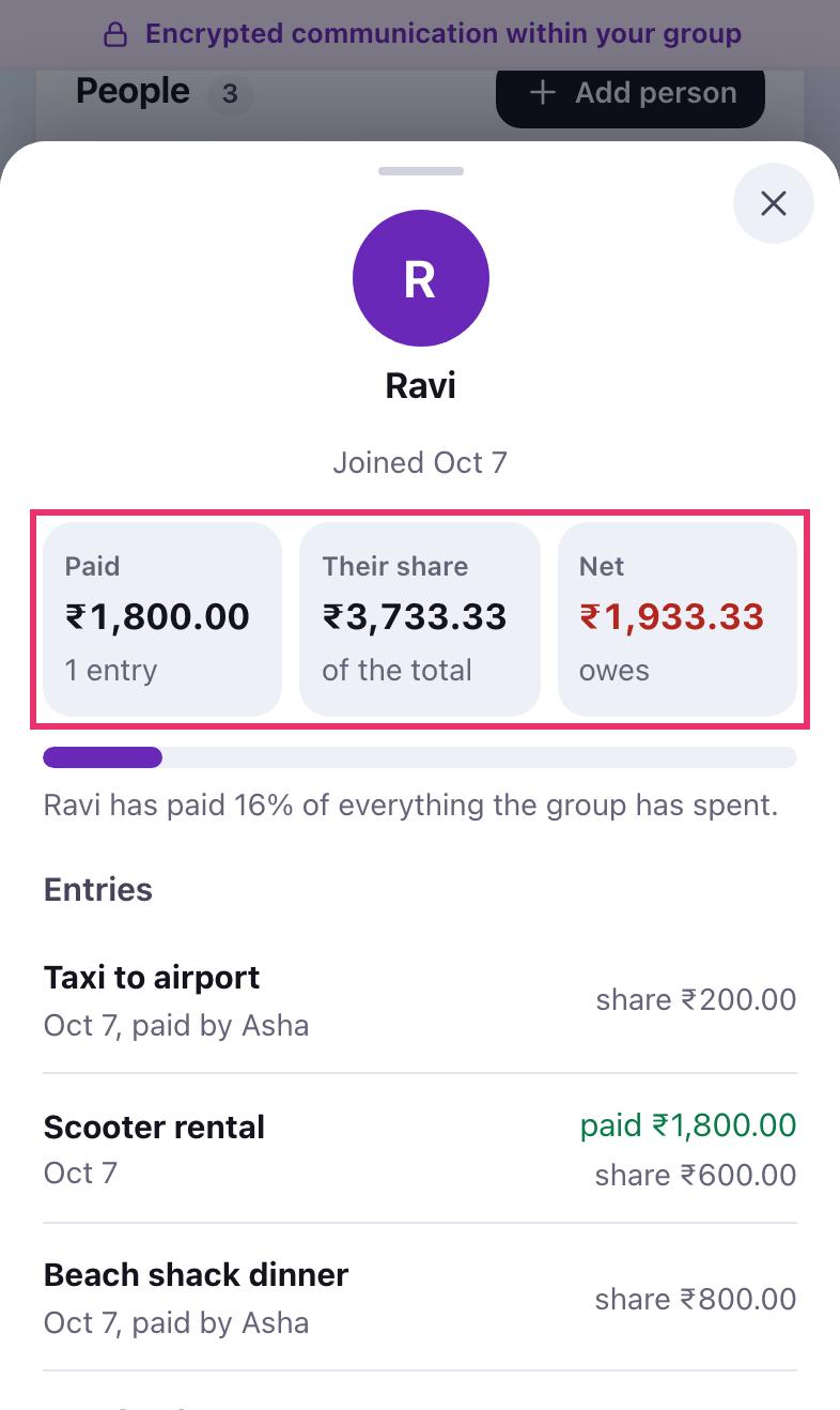 Ravi's profile with what he paid, his share, his net balance and his entries